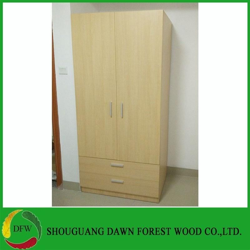 Low Price Modern 2 Doors Wardrobes for Bedroom (DFW-W012)