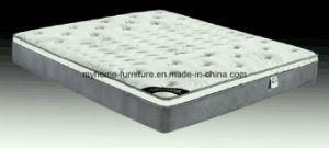 Roll Packed Foam Encased Pocket Spring Foam Mattress