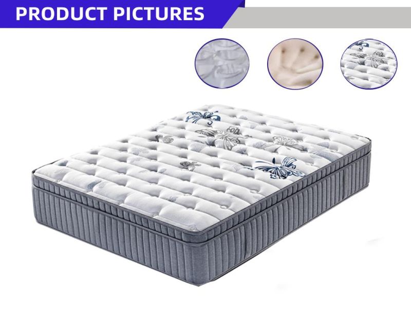 5 Star Hotel Soft Latex Compression Roll Folding Spring Mattress