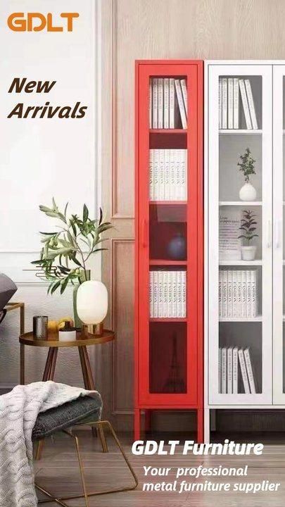 Simple Home Style Living Room Storage Low Metal Cabinet with Two Doors