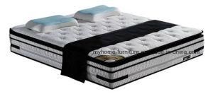 Pillow Top Memory Foam Bed Mattress with Mini Zone Pocket Coil Mattress
