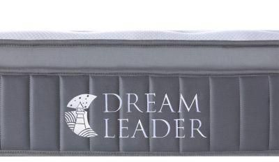 Customized Home Dreamleader/OEM Compress and Roll in Carton Box Walmart Hospital Mattress