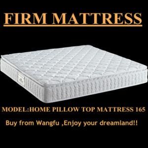 Home Pillow Top Mattress (WL165)