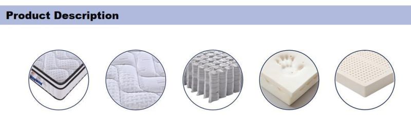 High Quality Euro Top Memory Foam 5 Zone Pocket Spring Mattress