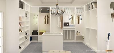 New Design European Style Matte Lacquer Walk-in Closet