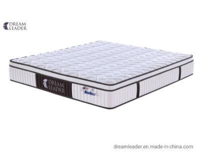 5 Zone Euro Top Design Pocket Spring Memory Foam and Latex Soft Foam Mattress Home Furniture Bed Hotel Bed