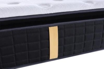Home Hotel Dreamleader/OEM Compress and Roll in Carton Box Coir Clinical Mattress