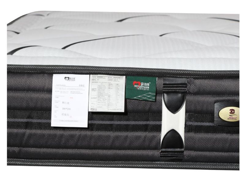 Latex Memory Foam Mattress Coils Pocket Spring Mattress