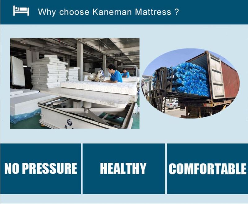 Cheap Price Thin Foam Mattress Compressed Packing