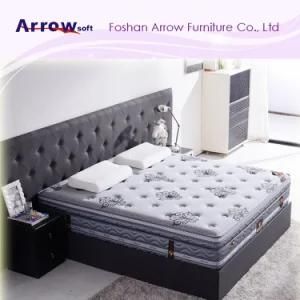 Student Mattress Twin Single Size High Density Hard Foam Compress Package Spring Mattress