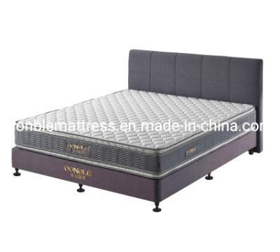 Compressed Mattress, Wholesale Price Mattress, Foam Sponge Mattress