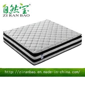 Hight Quality Knitted Fabric Latex Organic Pocket Spring Mattress (ZRB-812)