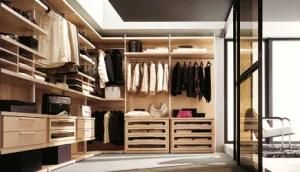 Modern Bedroom Wardrobe / Walk in Closet Design