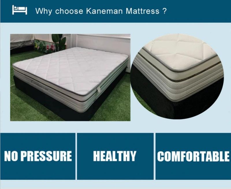 Spring Mattress Online Rolled Bed Mattress in a Box Coil Spring Mattress