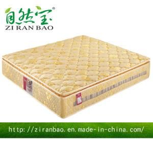 Golden Latex Foam Bedroom Furniture Hotel Furniture Pocket Spring Mattress (ZRB-819)
