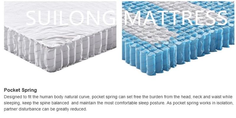 Hot Style Mattress Wool Latex Double Pocket Spring Mattress (SL2009)