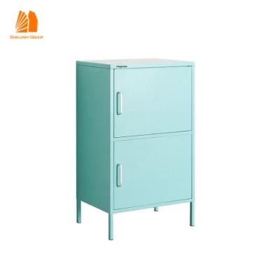 Best Selling Chinese Factory Two Door Swing Cabinet