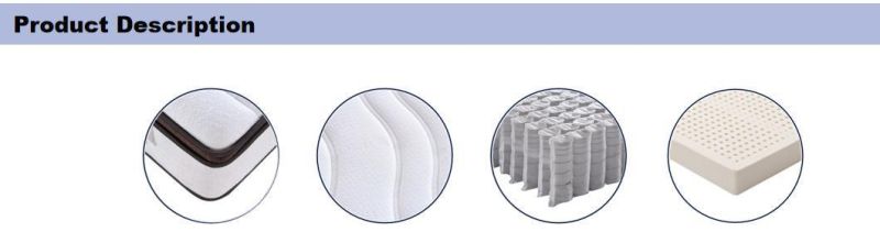 Five Zone Euro Top Skin-Friendly Loycell Fabric Pocket Spring Latex Foam Mattress