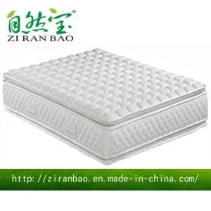 High Quality Health Care Pocket Spring Mattress (ZRB-307)