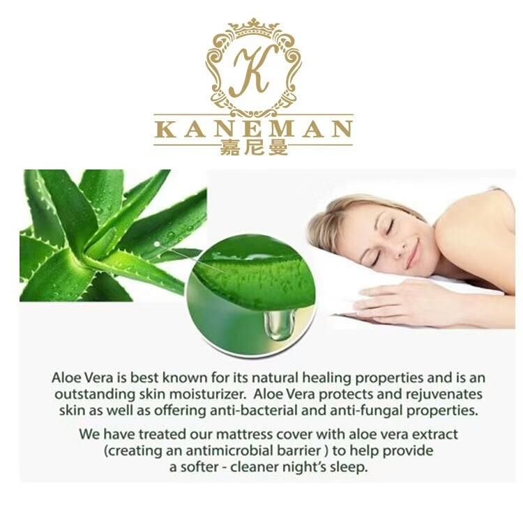 Aloe Vera High Density Foam Memory Foam Mattress Compressed Packing in Sleeve