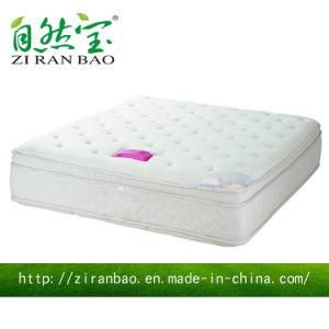 Good Medical Mattress Price for Modern Teen Bedroom Furniture