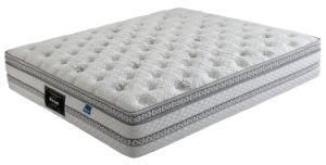 Back Healthy Comfort Pillow Top Memory Foam Mattress (WL211)