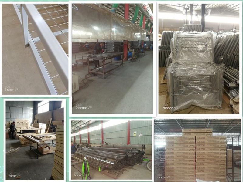 Stainless Steel Metal Single Bed