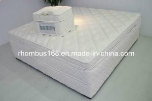 Natural Latex Pillow Top Mattress, Foam Pocket Spring Mattress (RH065)