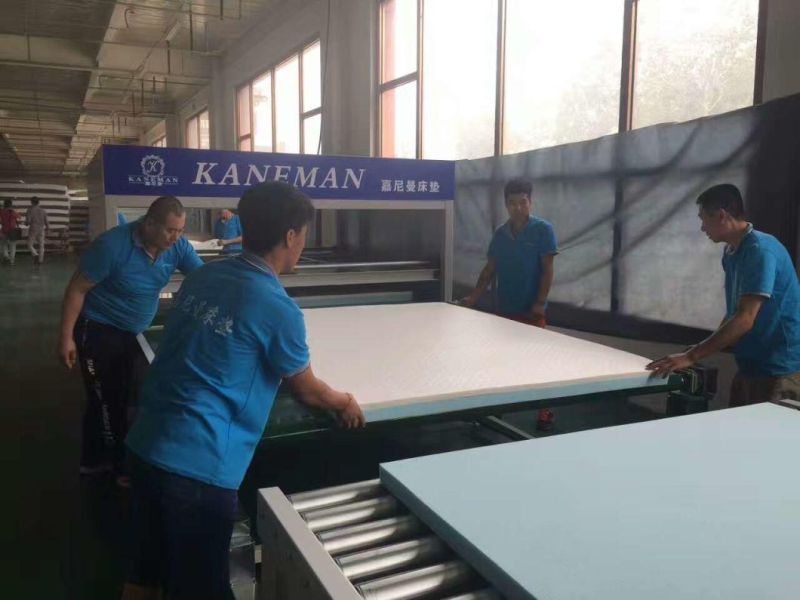 Roll in Box Foam Mattress Cool Sleeping Gel Memory Foam Mattress Cheap Price Foam Mattress