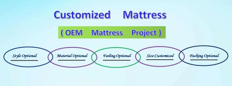 Mattress in a Box Bed Queen Orthopedic Hybrid Single Spring Mattress