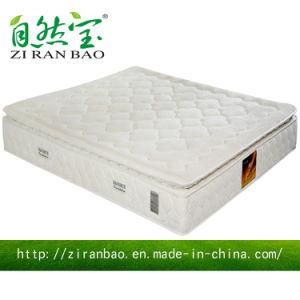 Luxury and Comfortable Bedroom Furniture Pocket Spring Mattress (ZRB-823)