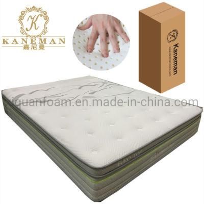 Rolled Latex Mattress in a Box Wholesale Coil Spring Mattress 10inch