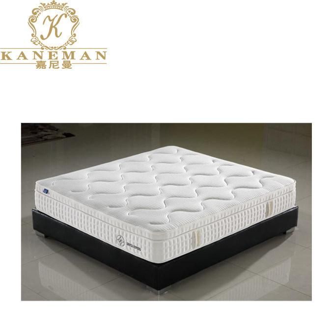 OEM Euro Top Mattress Compressed Pocket Spring Mattress in a Box