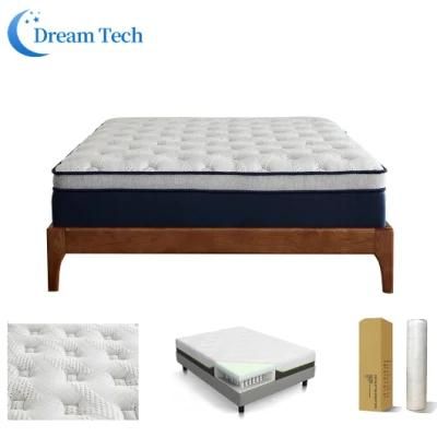 Sleeping Beauty Orthopedic Anti-Mite Pocket Spring Mattress Wholesale Mattress