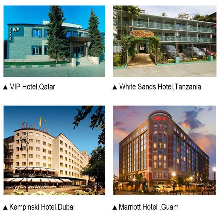 Wholesale Price of Double Bed Sleep Dream Hotel Foam Mattress