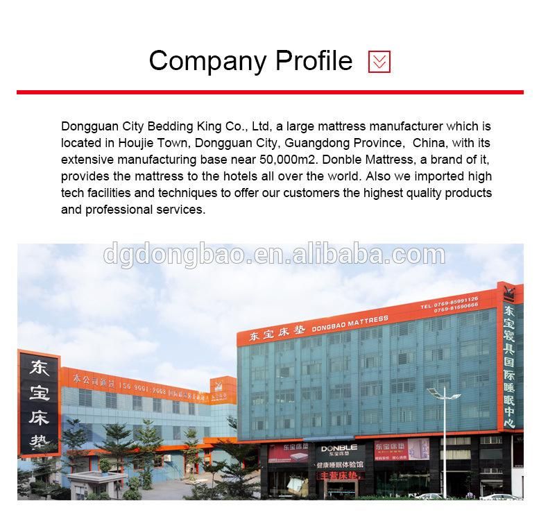 Full Healthy Latex Thin Hard Mattress