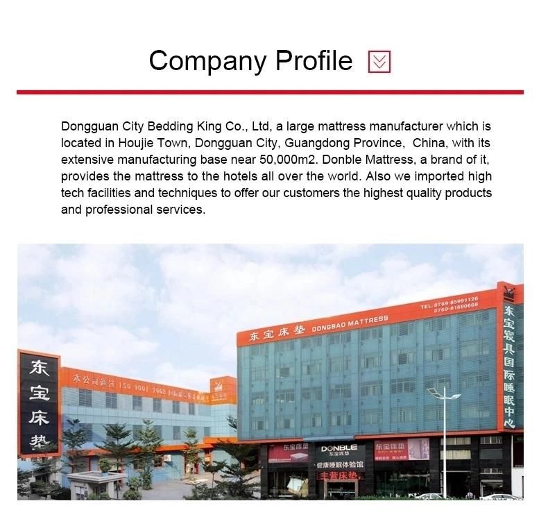 High Density Soft Foam King Size Ultra Comfortable Mattress