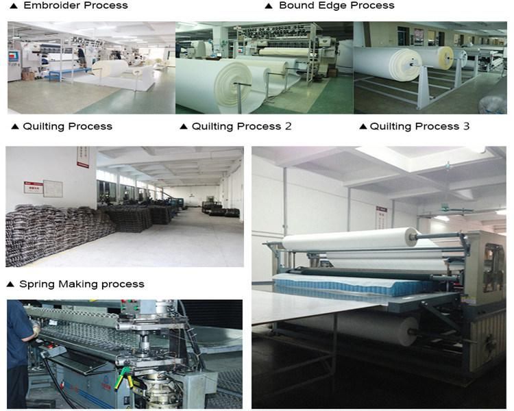 Hot Sales Mattress From Foshan Factory 100% Natural Latex Cheap Price Queen Size Mattress