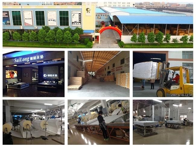 Chinease Furniture Wholesale Best Mattress for Home Furniture