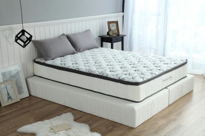 Professional Mattress Manufacturer Customized Size Latex Pocket Spring Mattress Eb15-03
