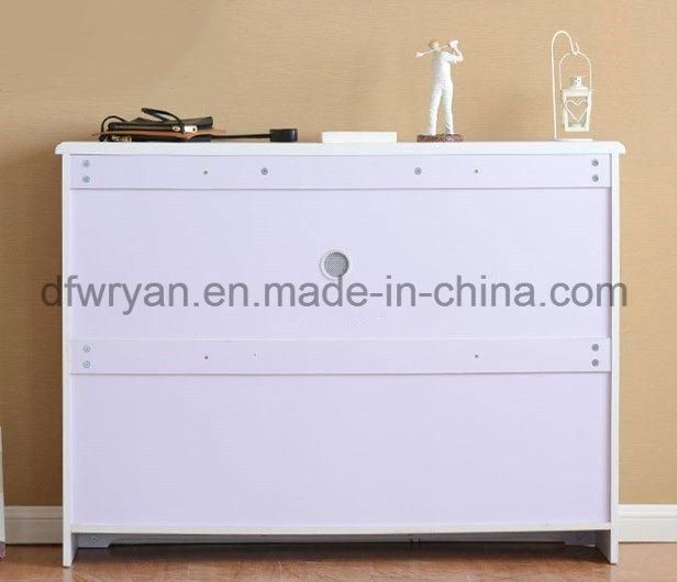 Home Furniture Simple Style Shoes Cabinet