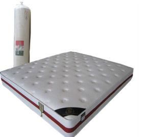 Compressed Memory Foam Rolled Mattress in China